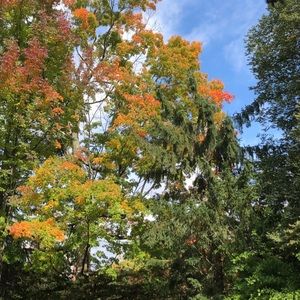 Meet your Posher, Adriana